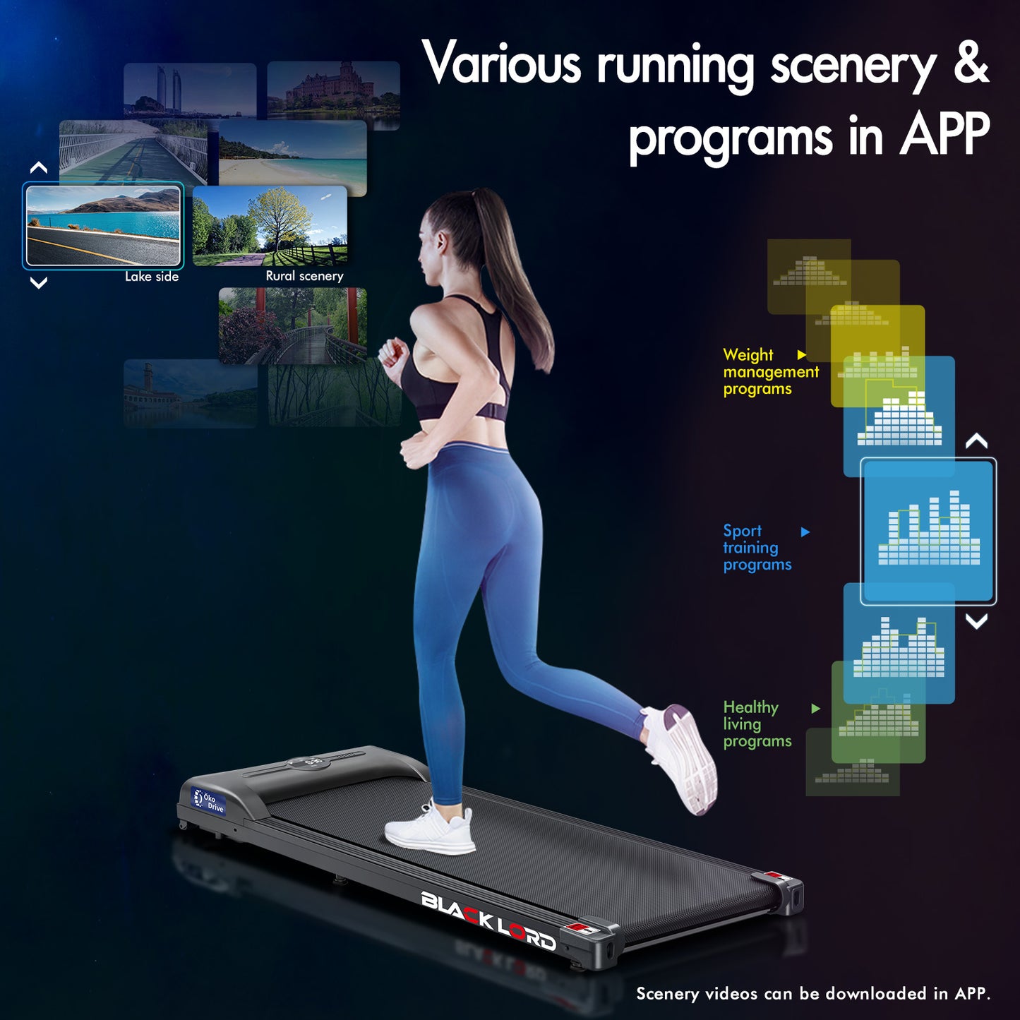BLACK LORD Treadmill Electric Walking Pad Home Office Gym Fitness Remote Control