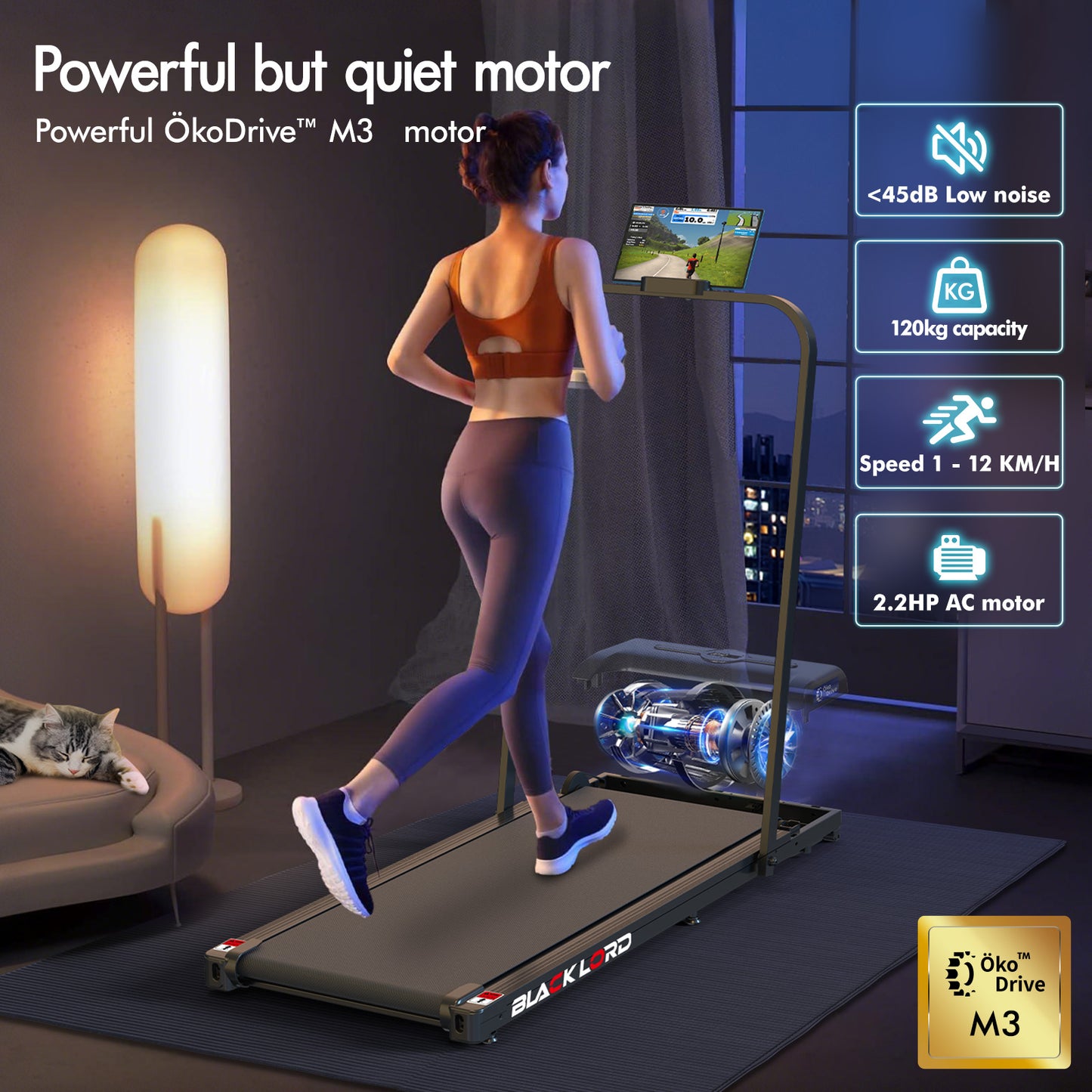 BLACK LORD Treadmill Electric Walking Pad Home Office Gym Fitness Foldable