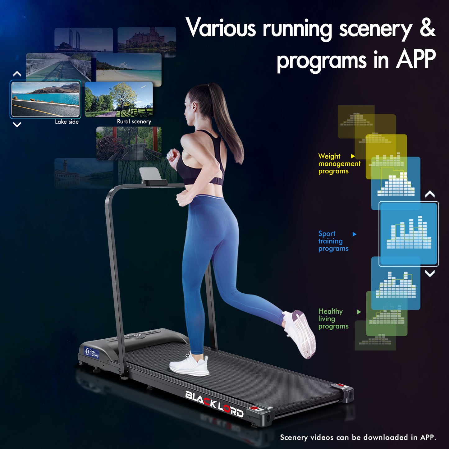 BLACK LORD Treadmill Electric Walking Pad Home Office Gym Fitness Foldable