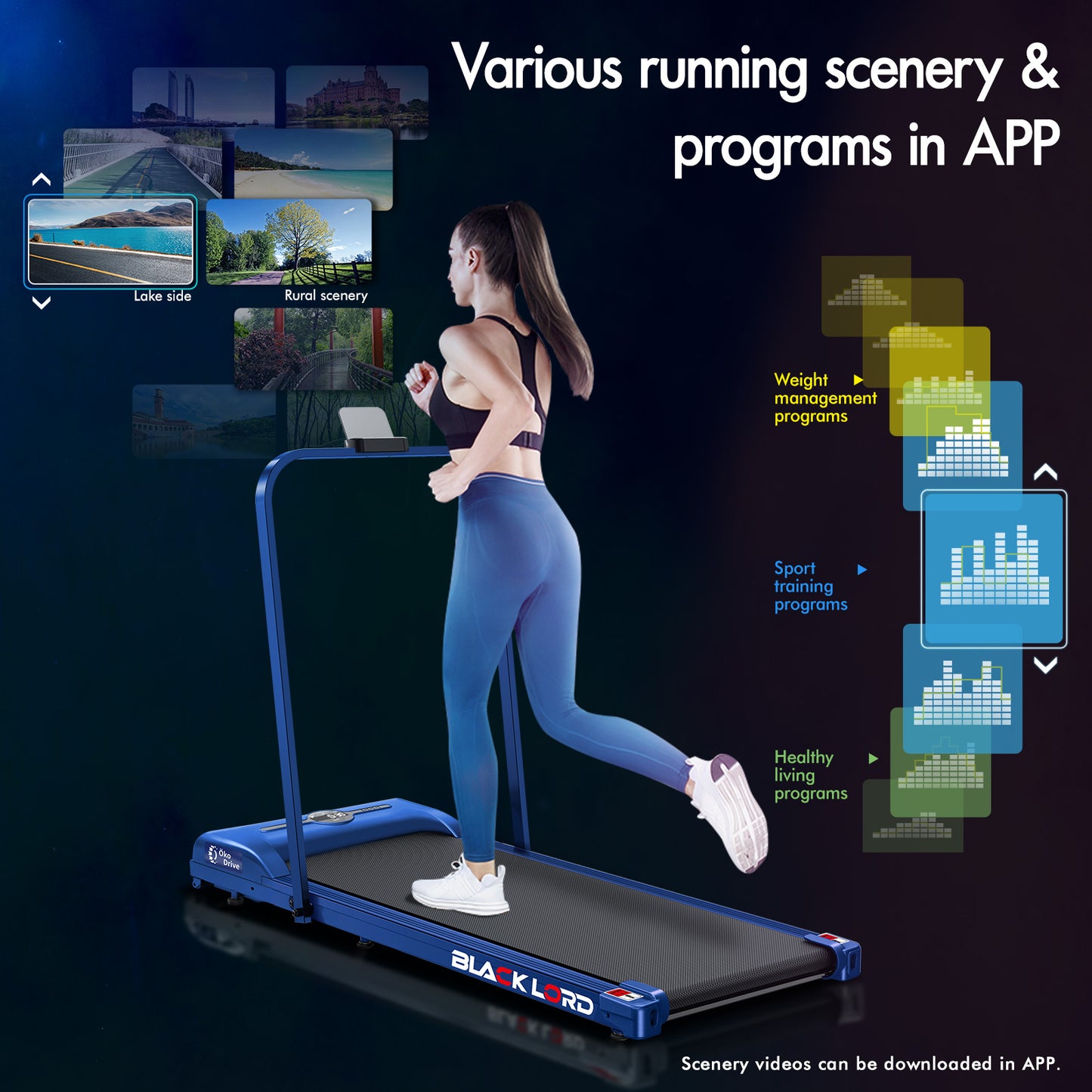 BLACK LORD Treadmill Electric Walking Pad Home Office Gym Fitness Foldable