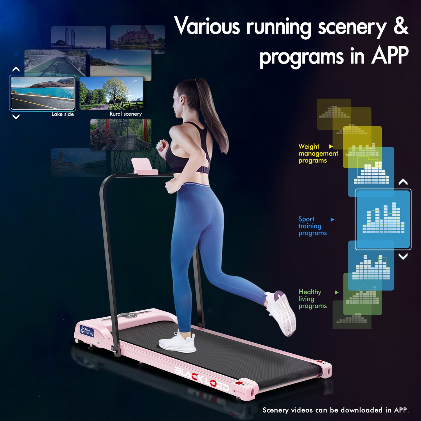 BLACK LORD Treadmill Electric Walking Pad Home Office Gym Fitness Foldable