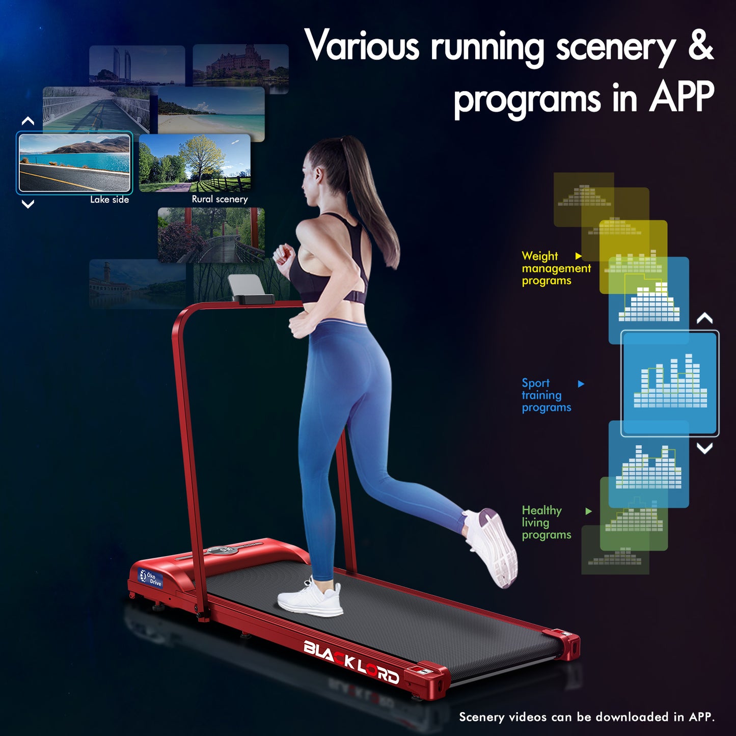 BLACK LORD Treadmill Electric Walking Pad Home Office Gym Fitness Foldable