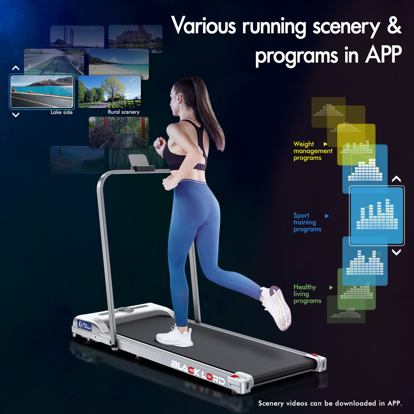 BLACK LORD Treadmill Electric Walking Pad Home Office Gym Fitness Foldable