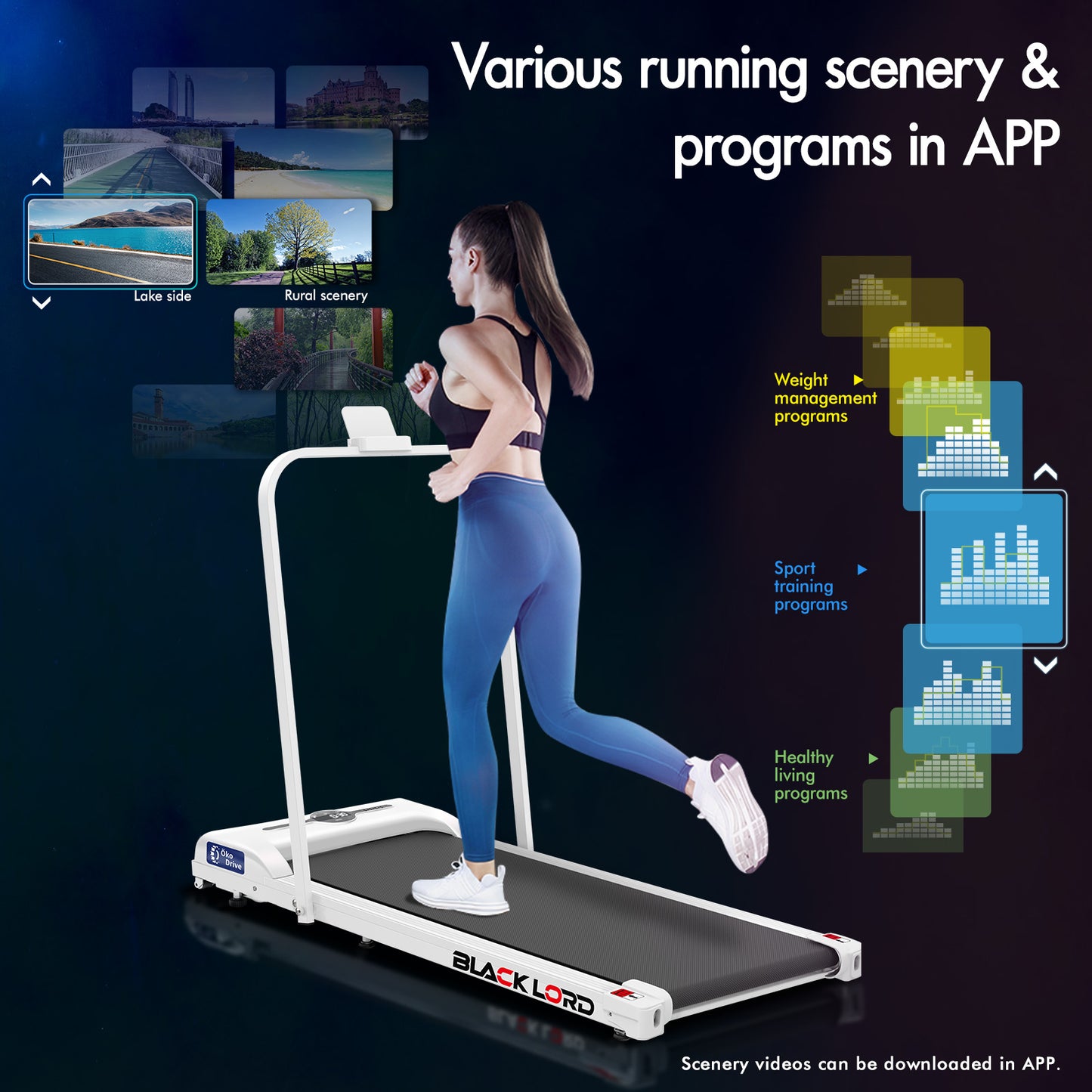 BLACK LORD Treadmill Electric Walking Pad Home Office Gym Fitness Foldable