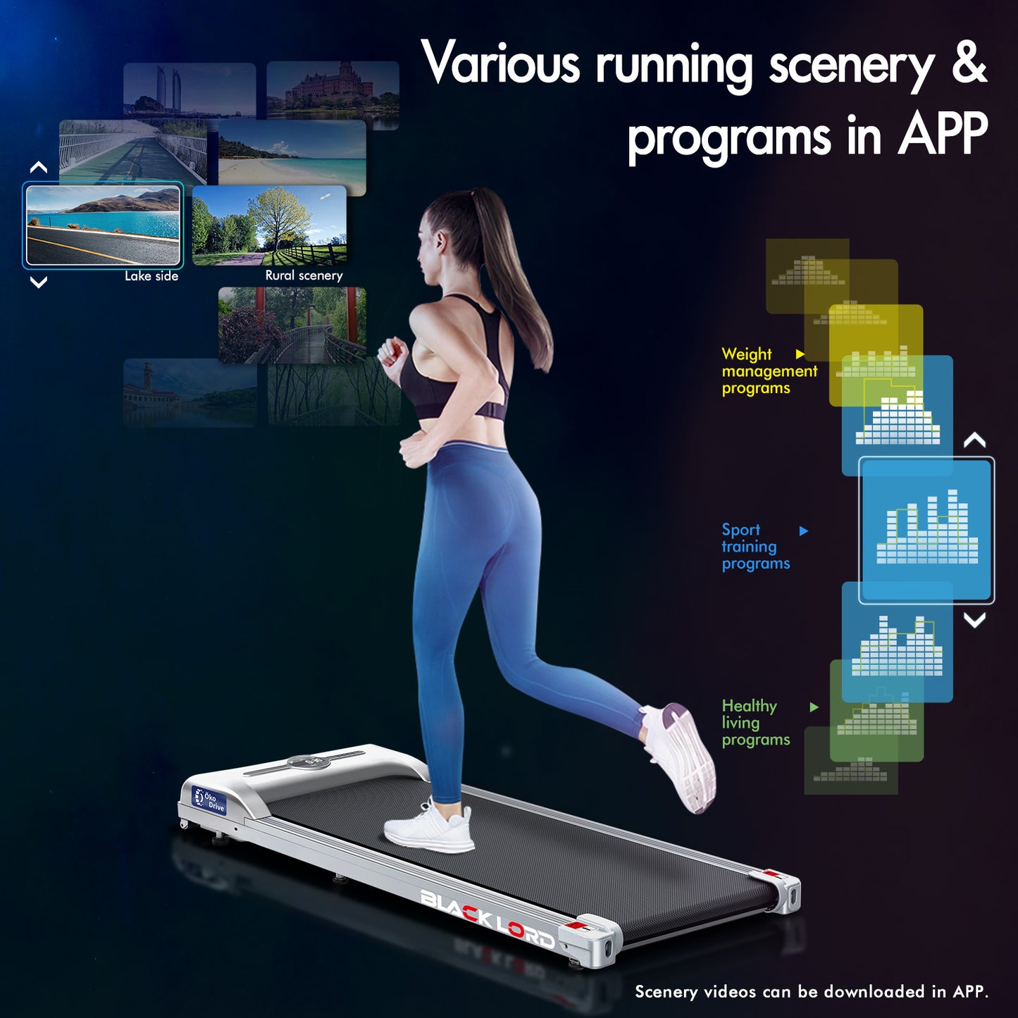 BLACK LORD Treadmill Electric Walking Pad Home Office Gym Fitness Remote Control