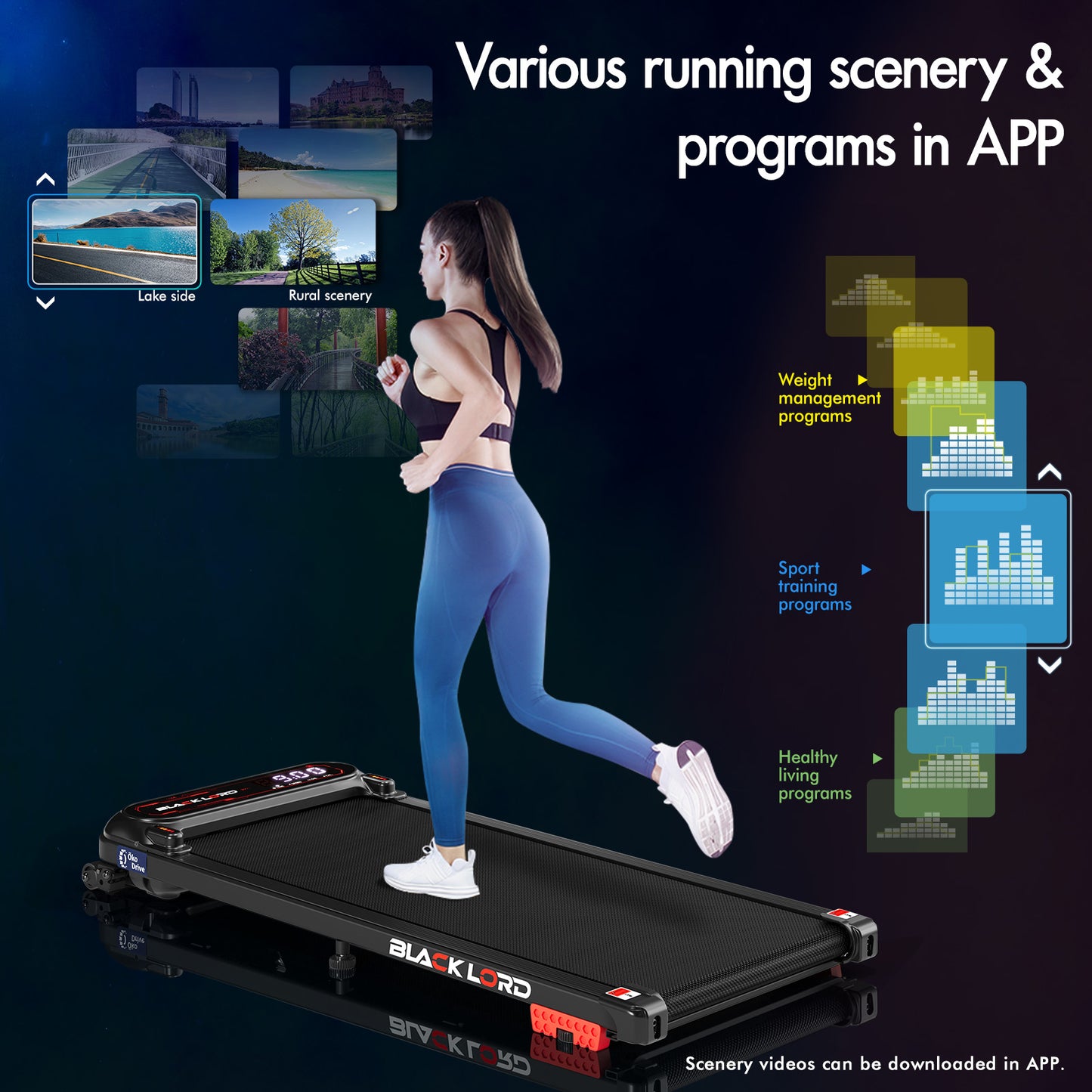 BLACK LORD Treadmill Electric Walking Pad Incline Shock Absorbers Gym Black