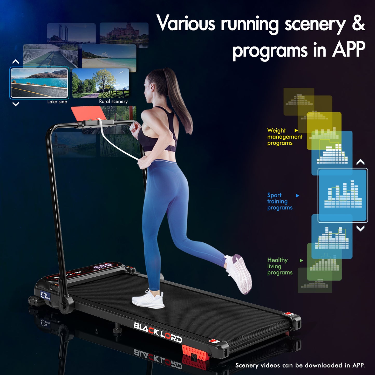 BLACK LORD Treadmill Electric Walking Pad Incline Shock Absorbers Foldable Black