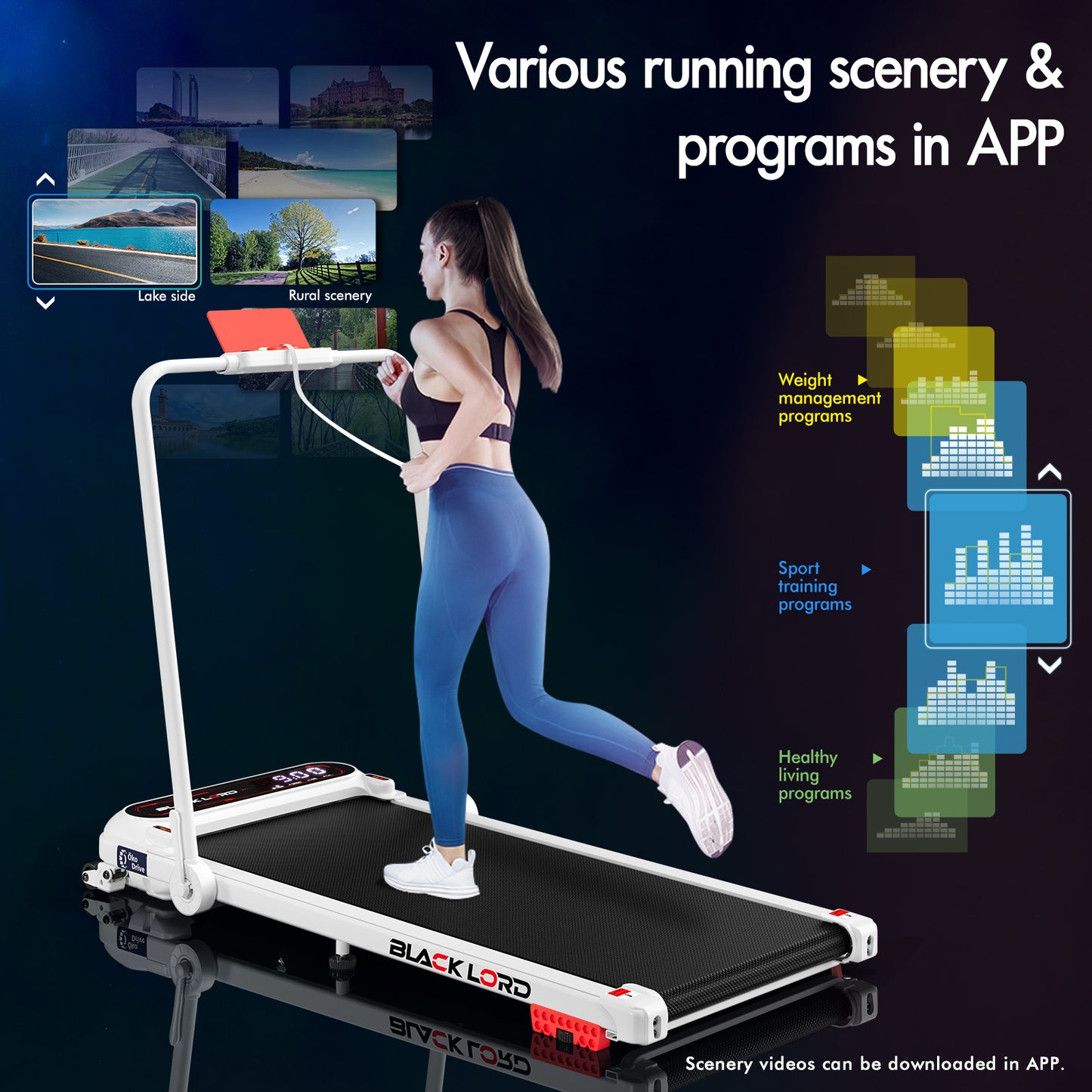 BLACK LORD Treadmill Electric Walking Pad Incline Shock Absorbers Foldable White