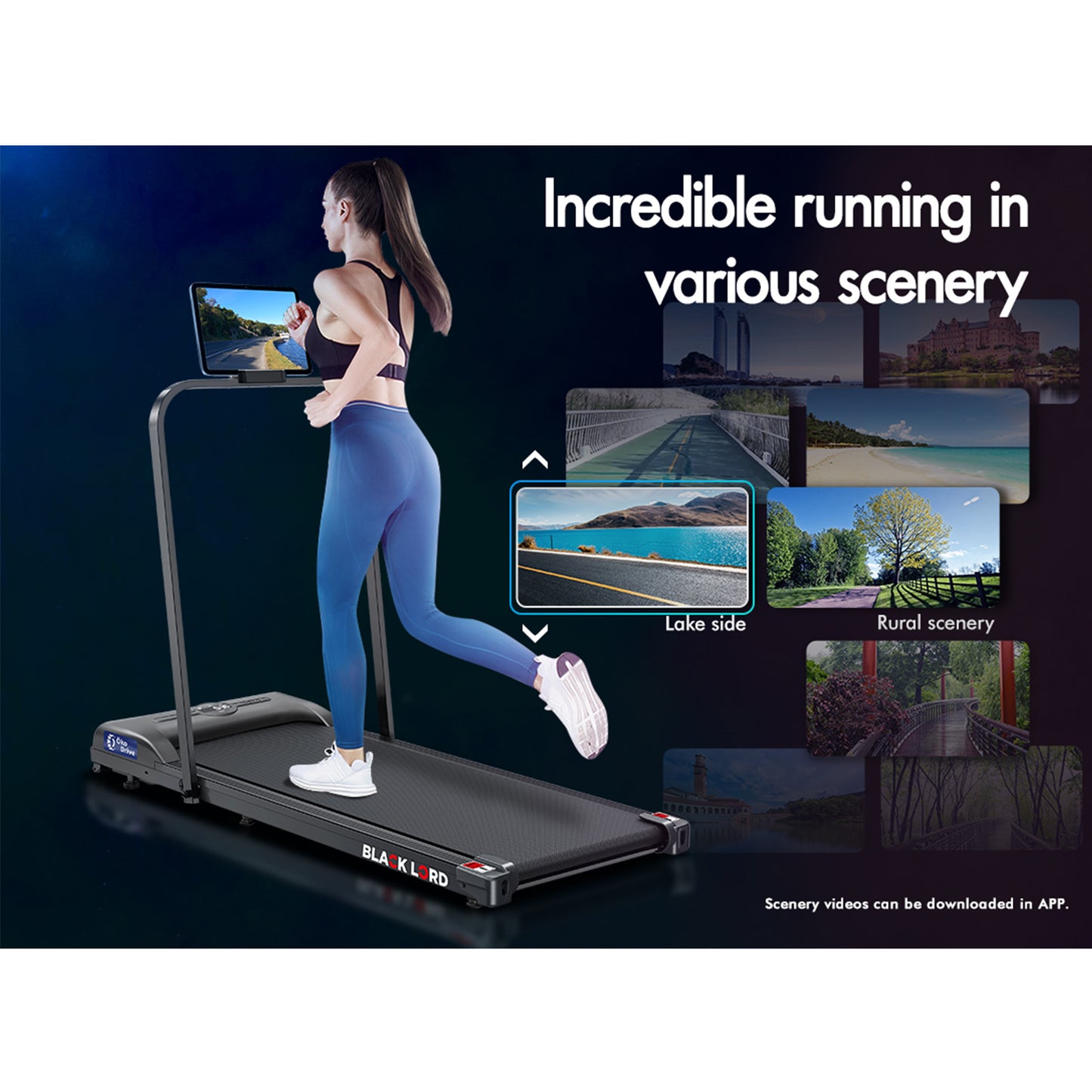 BLACK LORD Treadmill Electric Walking Pad Home Office Gym Fitness Foldable