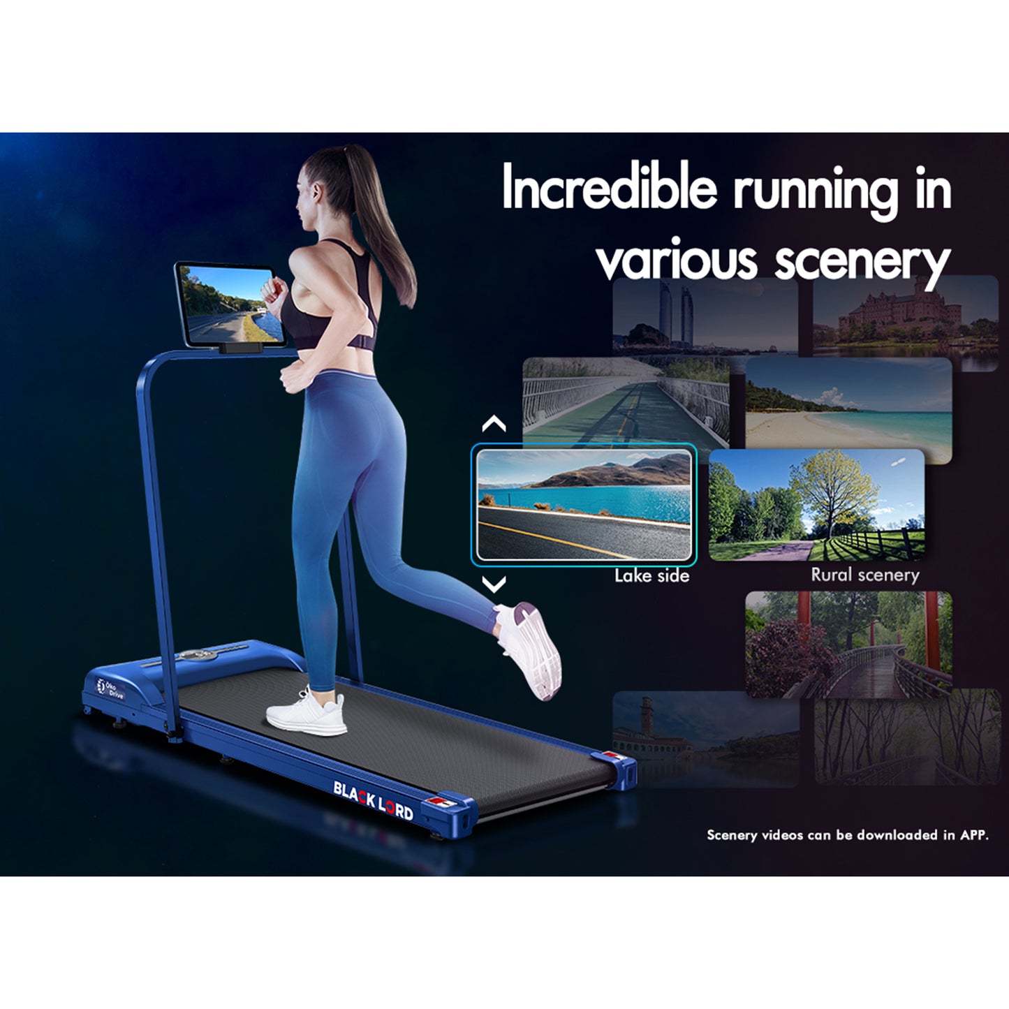 BLACK LORD Treadmill Electric Walking Pad Home Office Gym Fitness Foldable