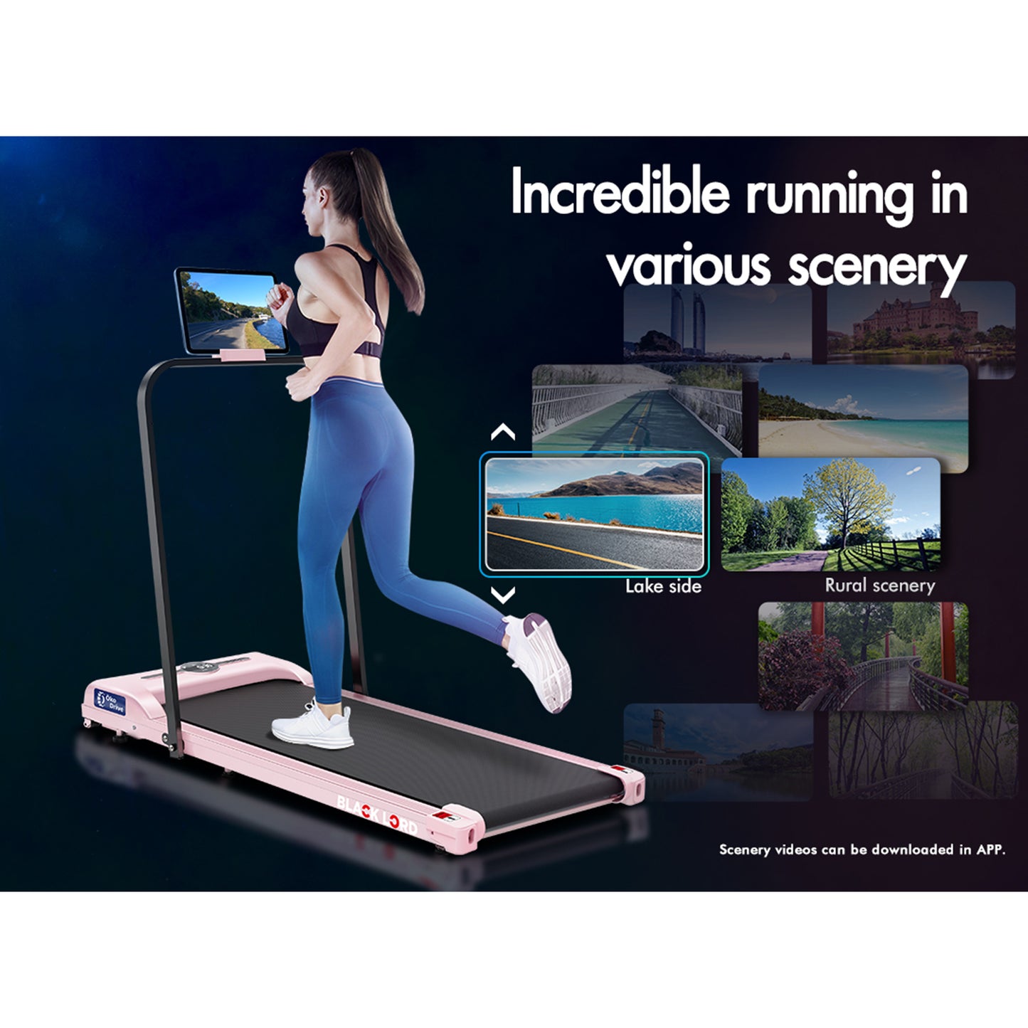 BLACK LORD Treadmill Electric Walking Pad Home Office Gym Fitness Foldable