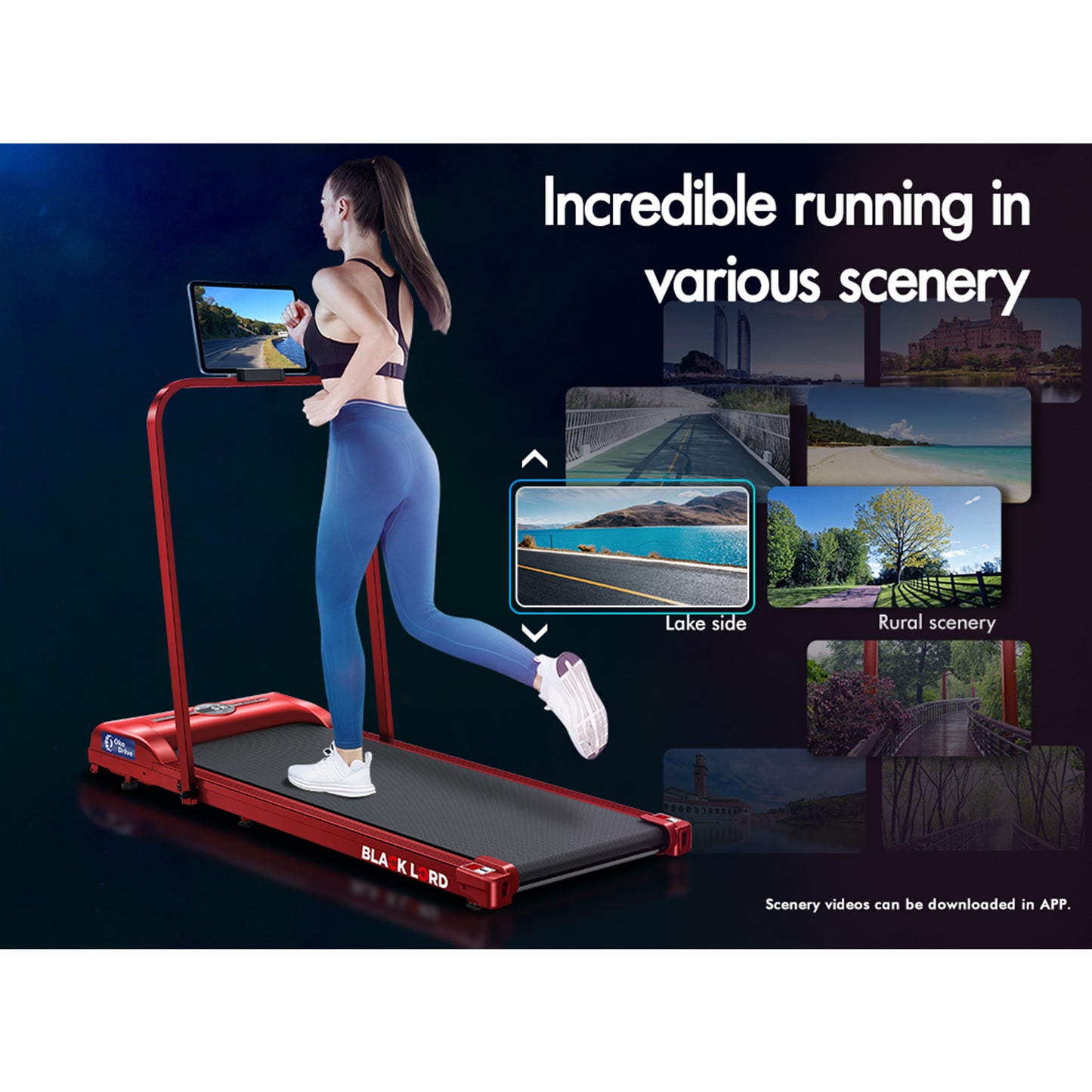 BLACK LORD Treadmill Electric Walking Pad Home Office Gym Fitness Foldable