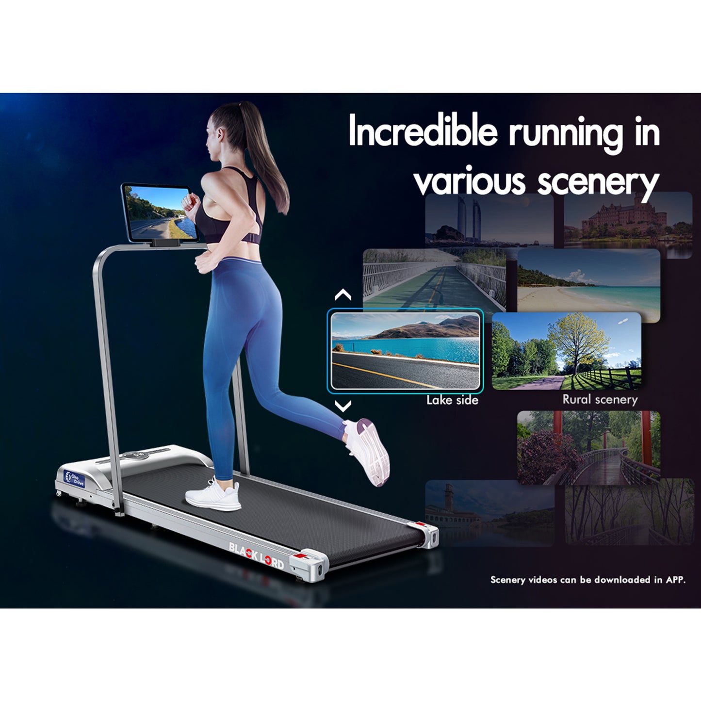 BLACK LORD Treadmill Electric Walking Pad Home Office Gym Fitness Foldable