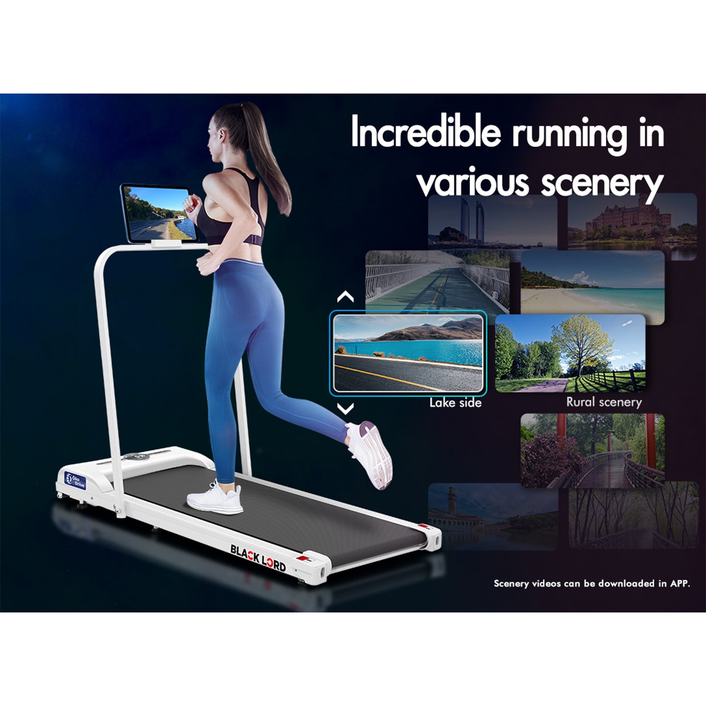 BLACK LORD Treadmill Electric Walking Pad Home Office Gym Fitness Foldable