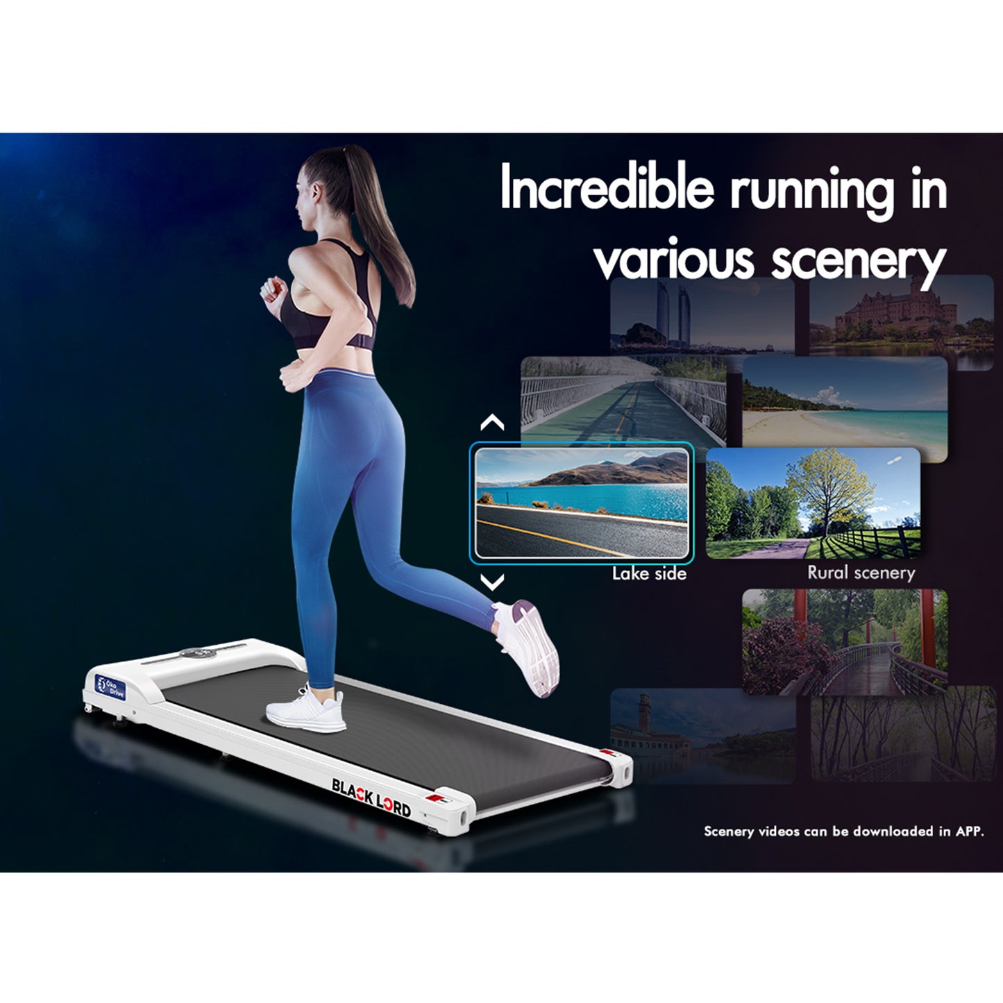 BLACK LORD Treadmill Electric Walking Pad Home Office Gym Fitness Remote Control